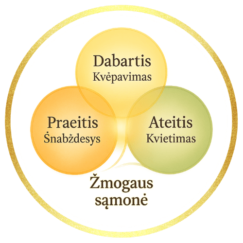 Holistologijos Centras MAGIJOS 3 STEBUKLAI Kūnas — Protas — Dvasia